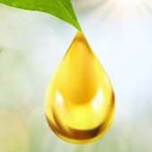 Dr. Klaudia Hauer Vitamin C Hochdosis Infusion