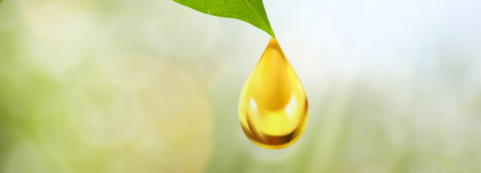 Dr. Klaudia Hauer Header Vitamin C Infusion